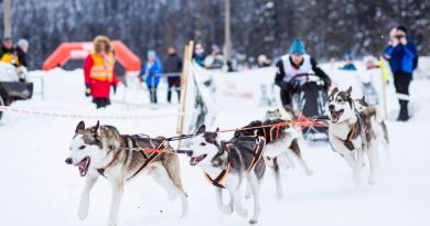 Medzinárodné preteky psích záprahov Ľadová 2023